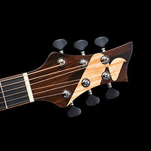 M-501 | 生産完了品 | MORRIS GUITARS モーリスギター