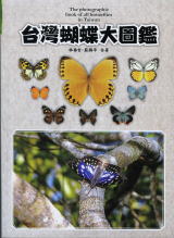 img3334191.jpg