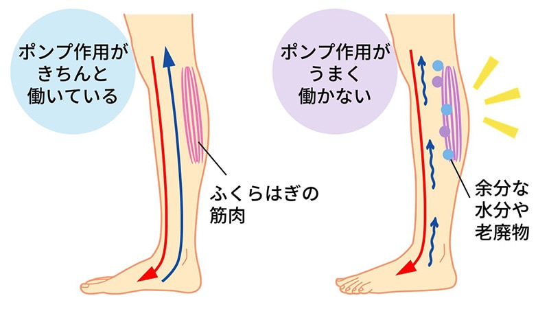 むくみ改善】理学療法士がおすすめする対策方法をご紹介！
