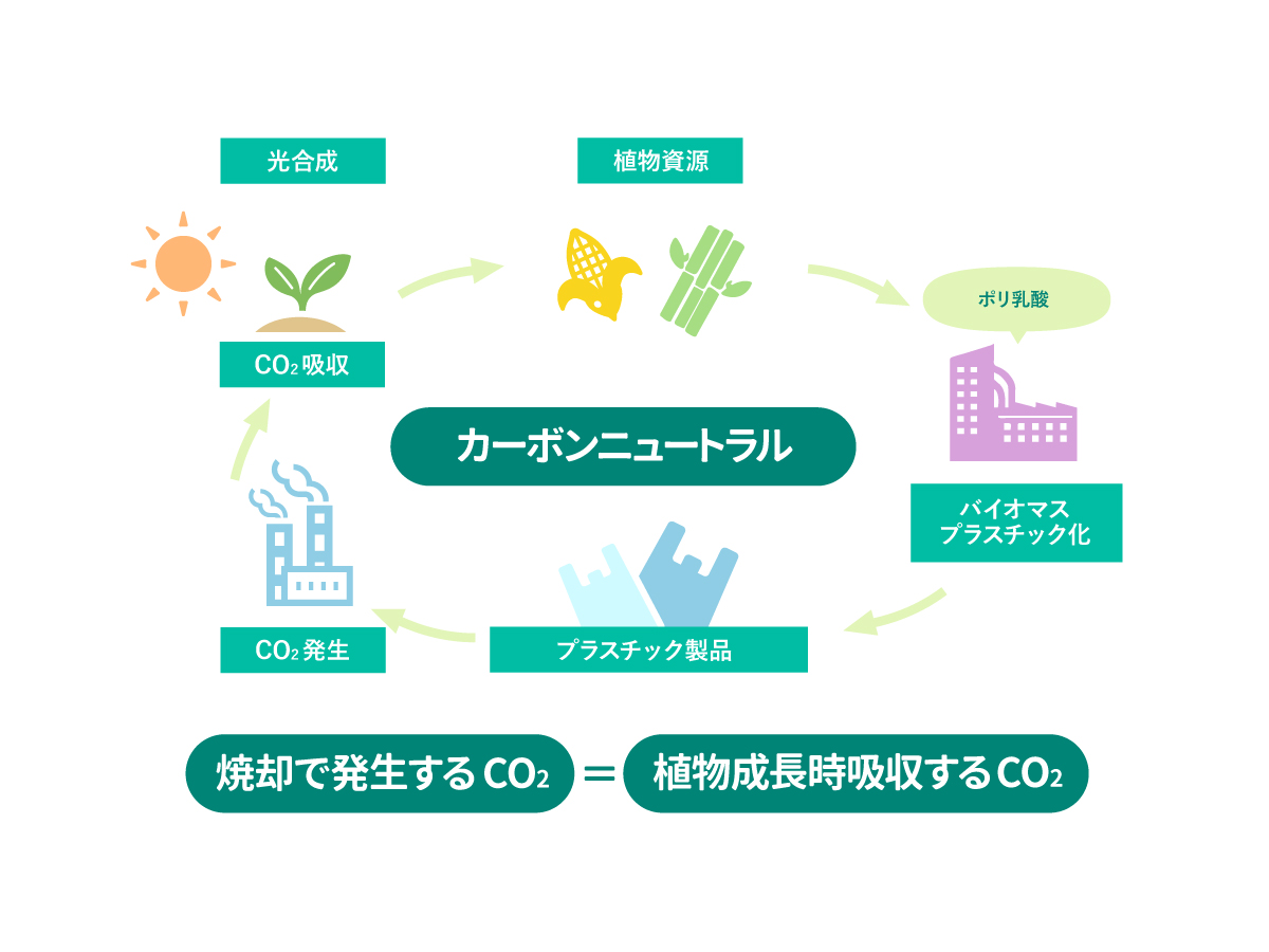 バイオマスプラスチックとは？ | ポリ袋・ゴミ袋のサニパック