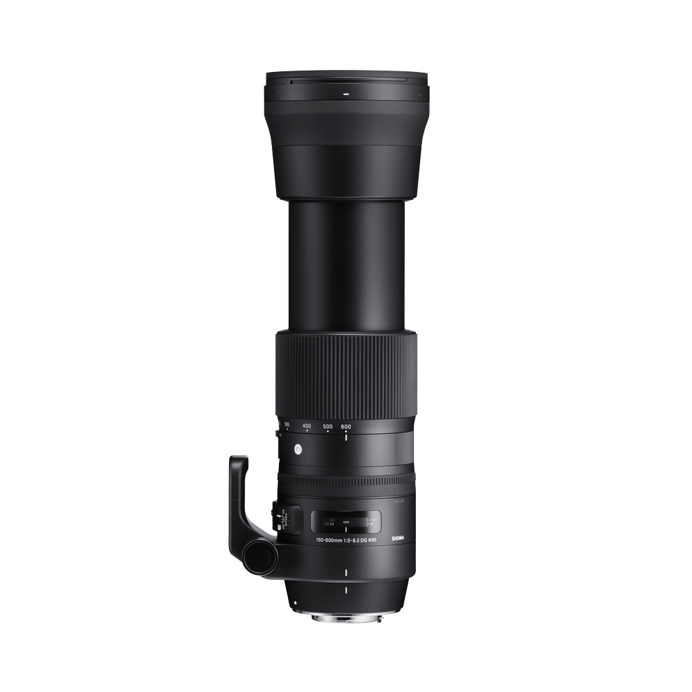 150-600mm F5-6.3 DG OS HSM | レンズ | Sigma