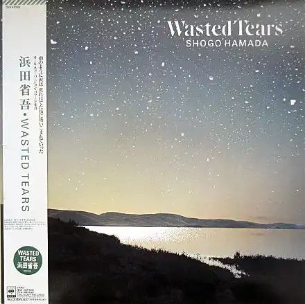 浜田省吾 / WASTED TEARS [LP - 28AH5269]：JAPANESE：アナログ