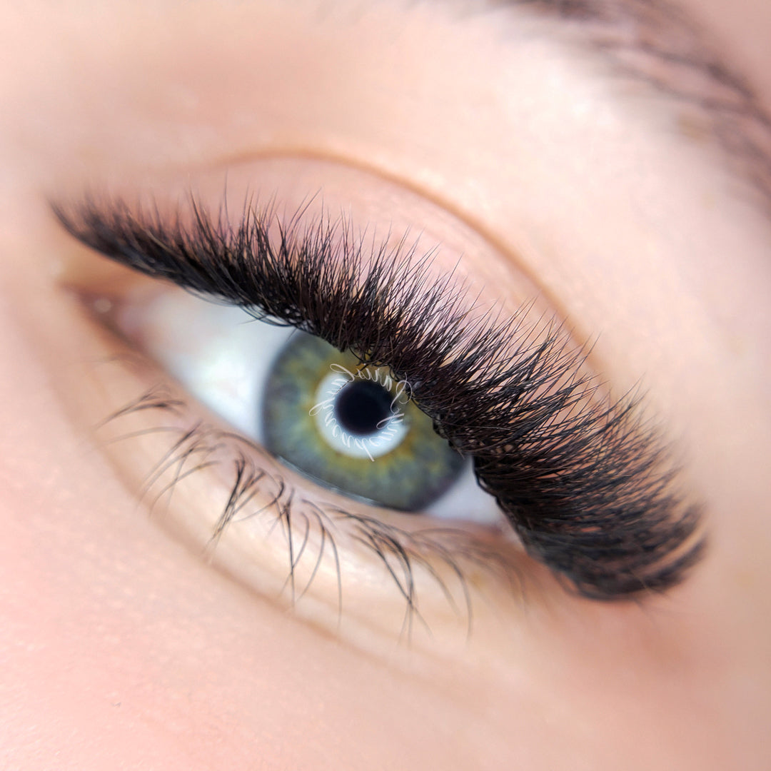 The BOLD Collection: LD Curl Lash Extensions - Mix – Paris Lash