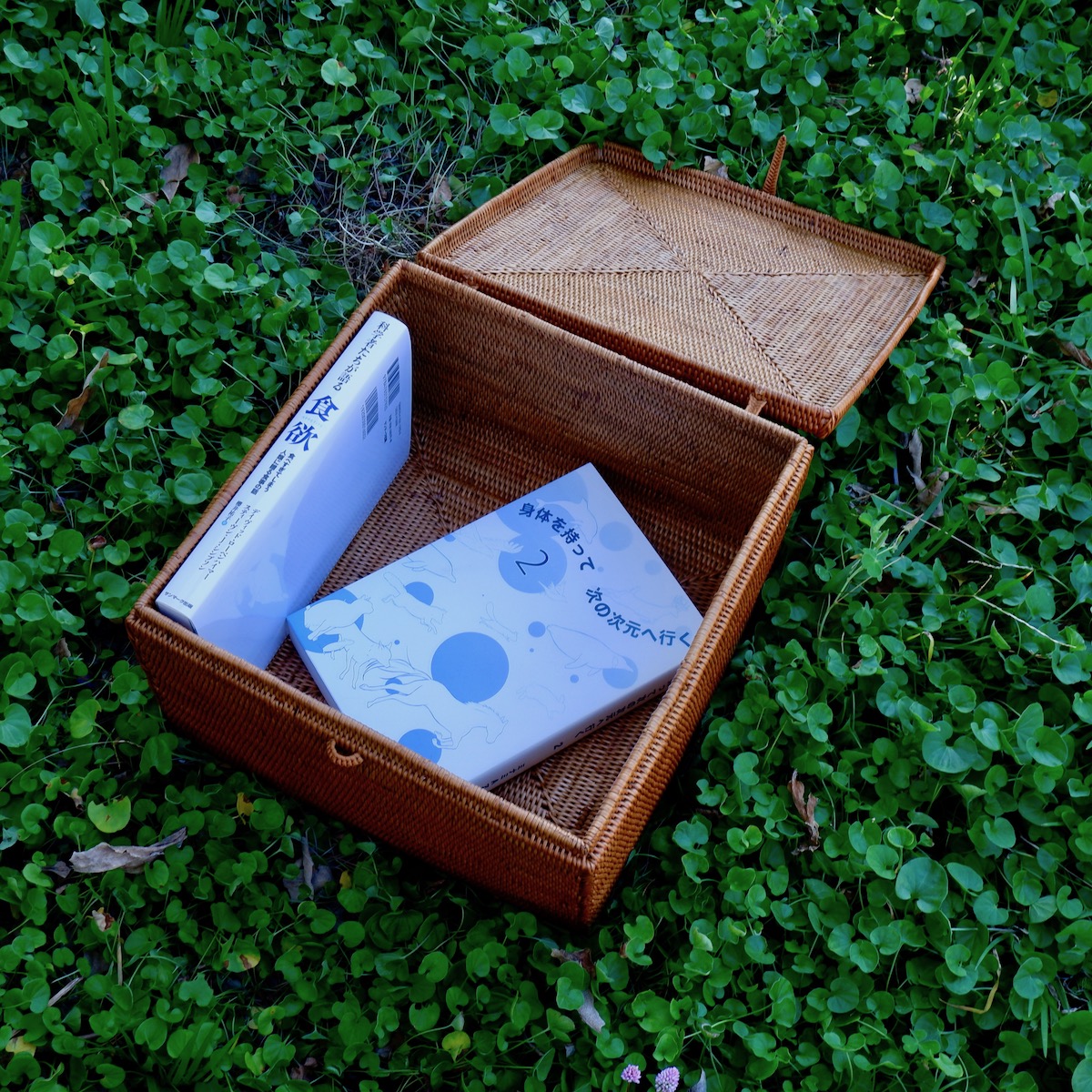 BOX458_051.jpg