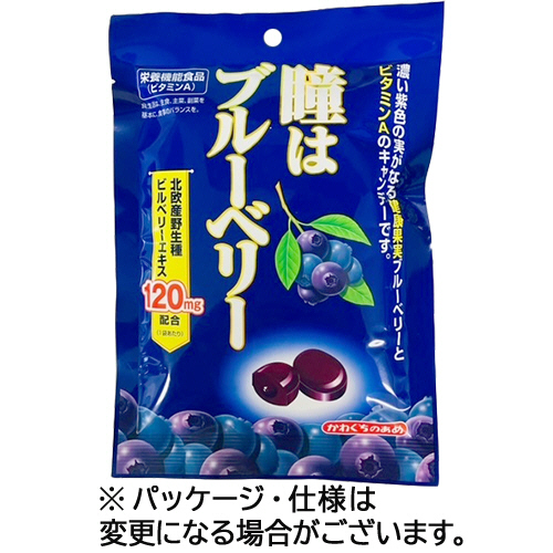 たのめーる】川口製菓 瞳はブルーベリー 83g 1袋の通販