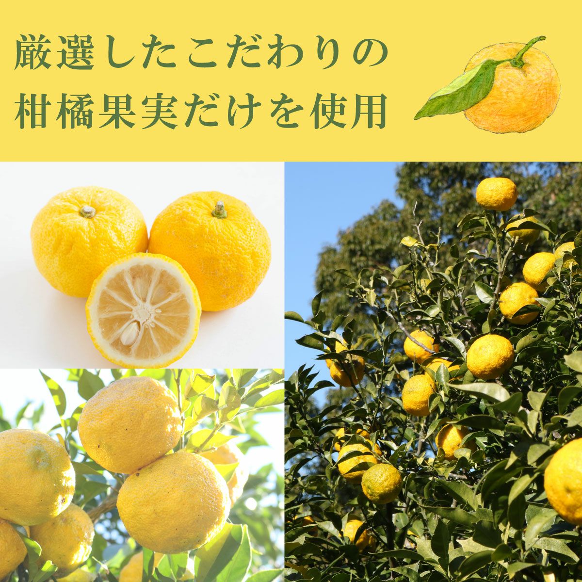 搾り柚子（200ml）単品（柚子果汁100％） | 柚子屋本店ONLINE STORE