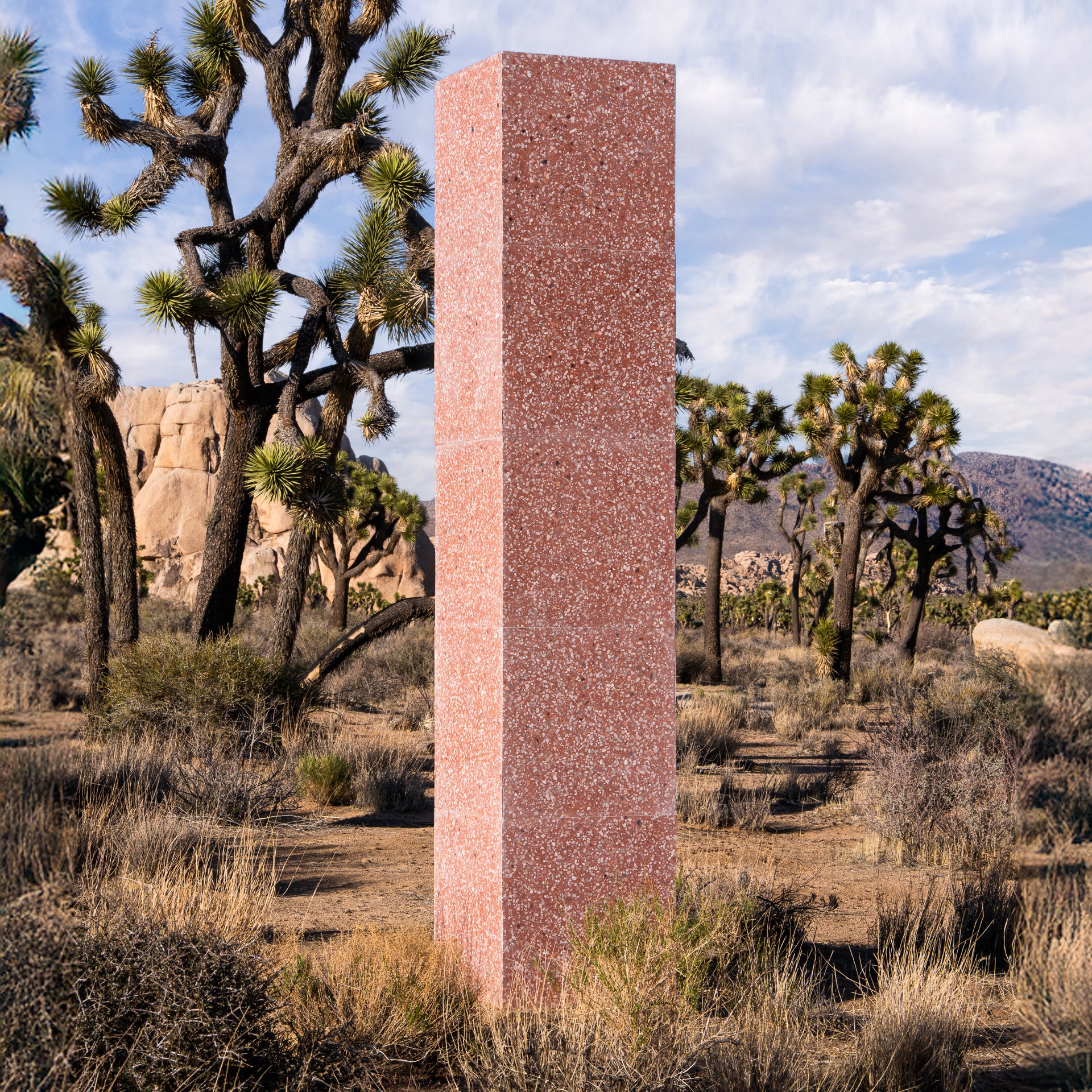 Indio 24x24 – Zia Tile