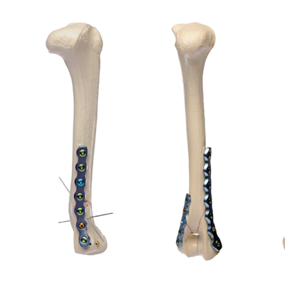 動物用製品