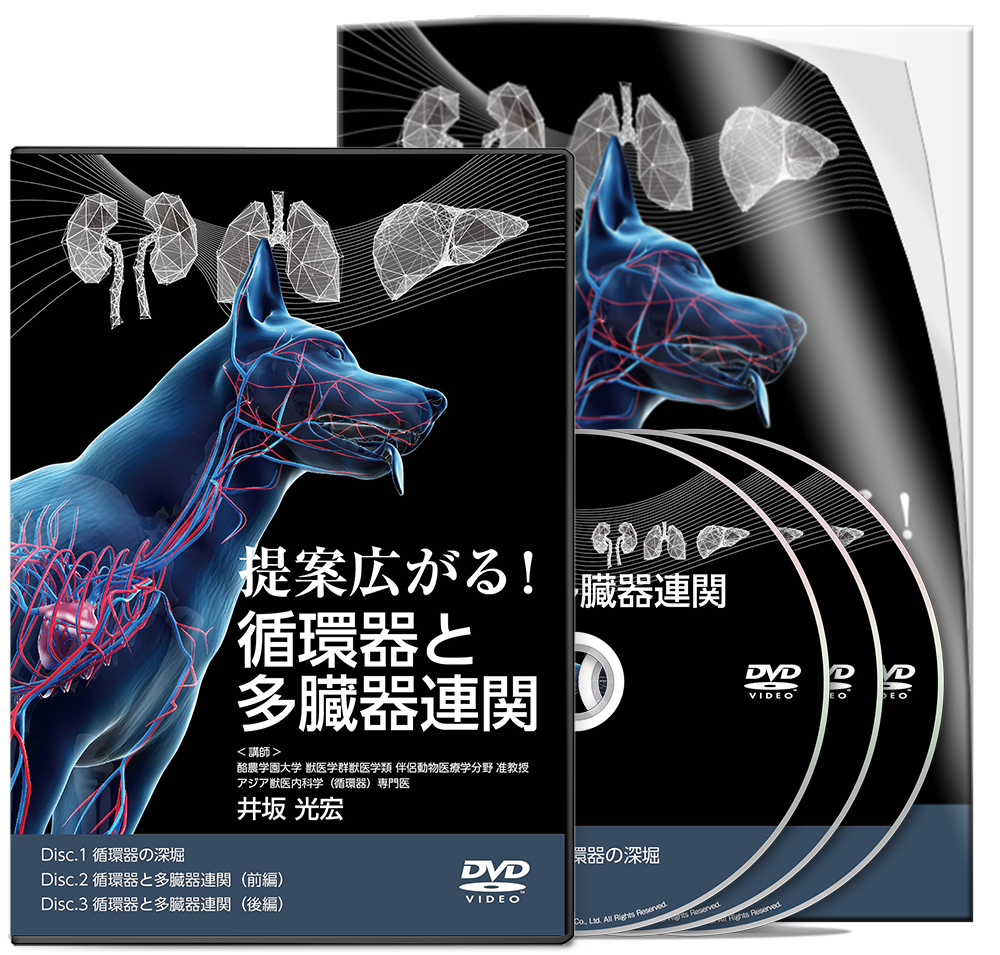 dvd_set.jpg