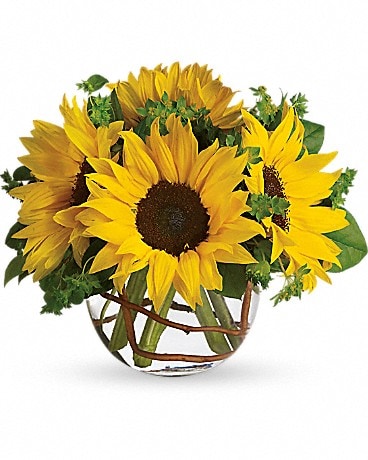 Sunny Sunflowers in Lake Charles LA - A Daisy A Day Flowers
