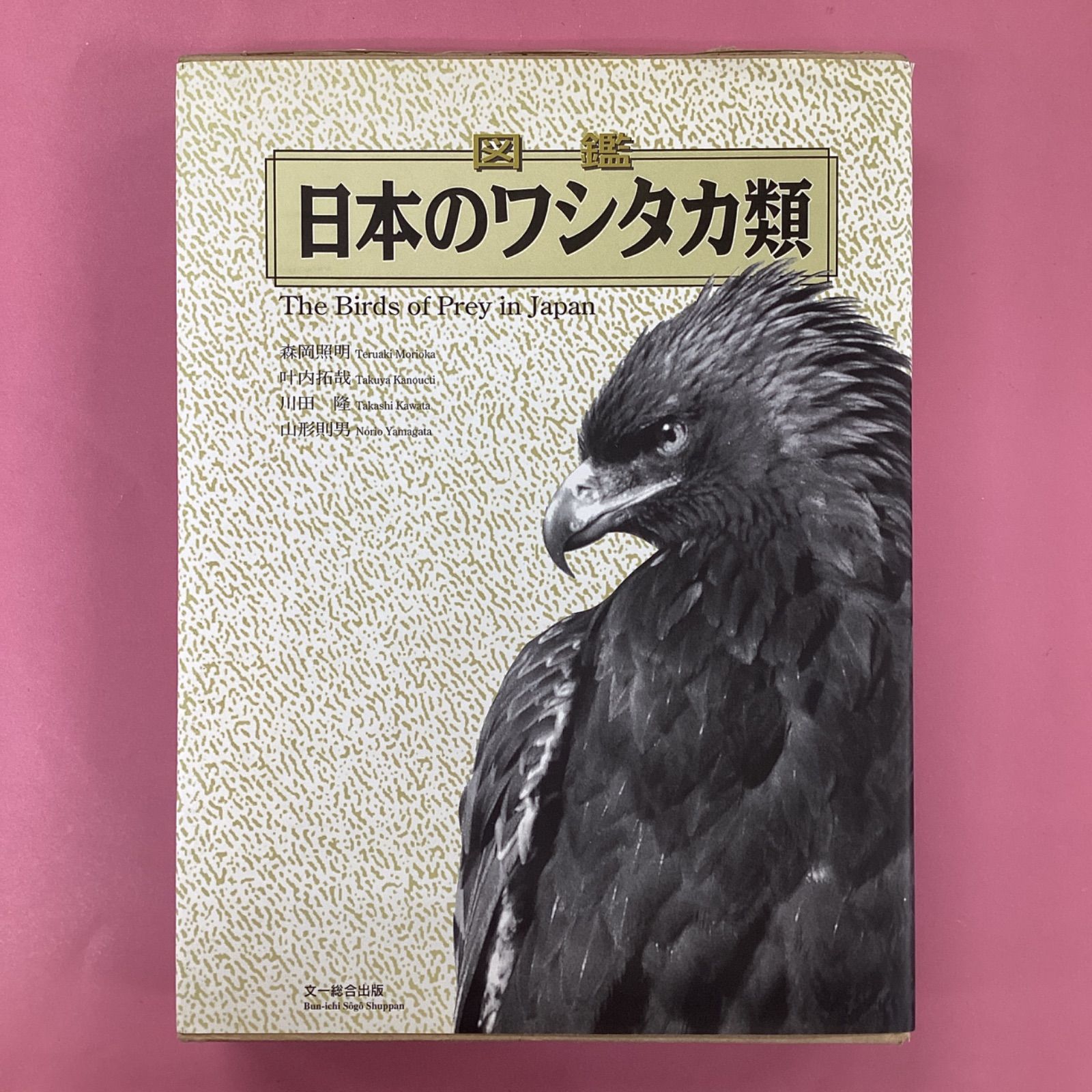 図鑑 日本のワシタカ類 図鑑日本のワシタカ類 第2版 | 森岡 照明 |本