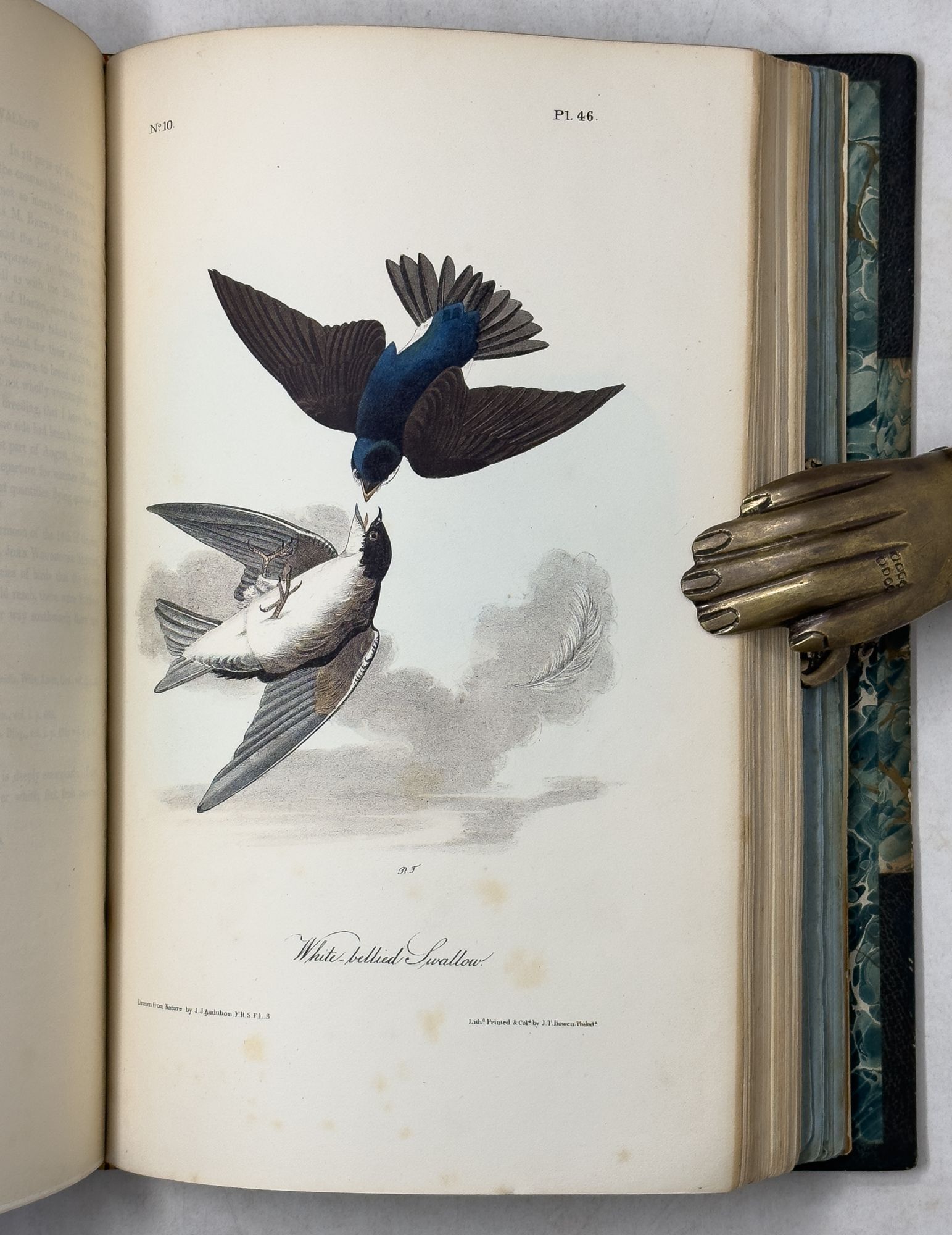 Audubon's Complete Birds of America | AraderBooks