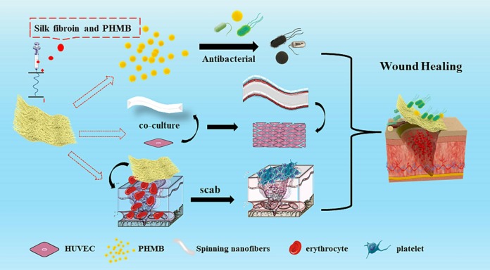 The silk fibroin nanofibrous membrane loaded with polyhexamethyl