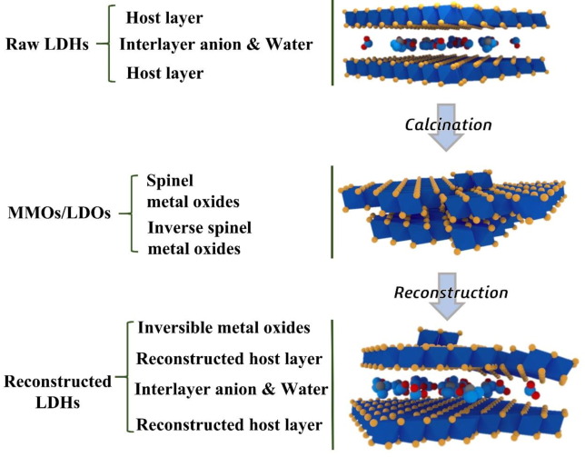 Regeneration mechanism, modification strategy, and environment