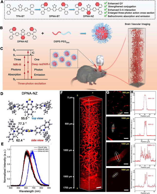 Aggregation-induced emission: An illuminator in the brain