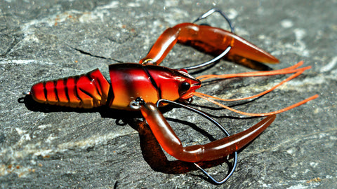 Joint Zari 65 – Bama Frogs