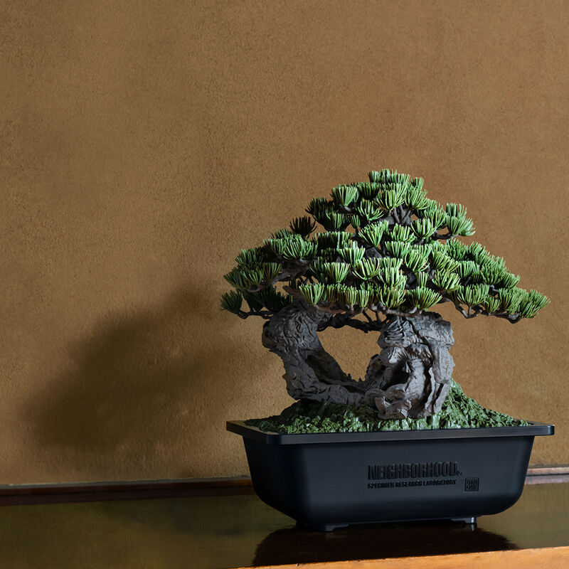 SRL X BANDAI SPIRITS . BONSAI MODEL KIT ／ TOOL SET｜プレミアム