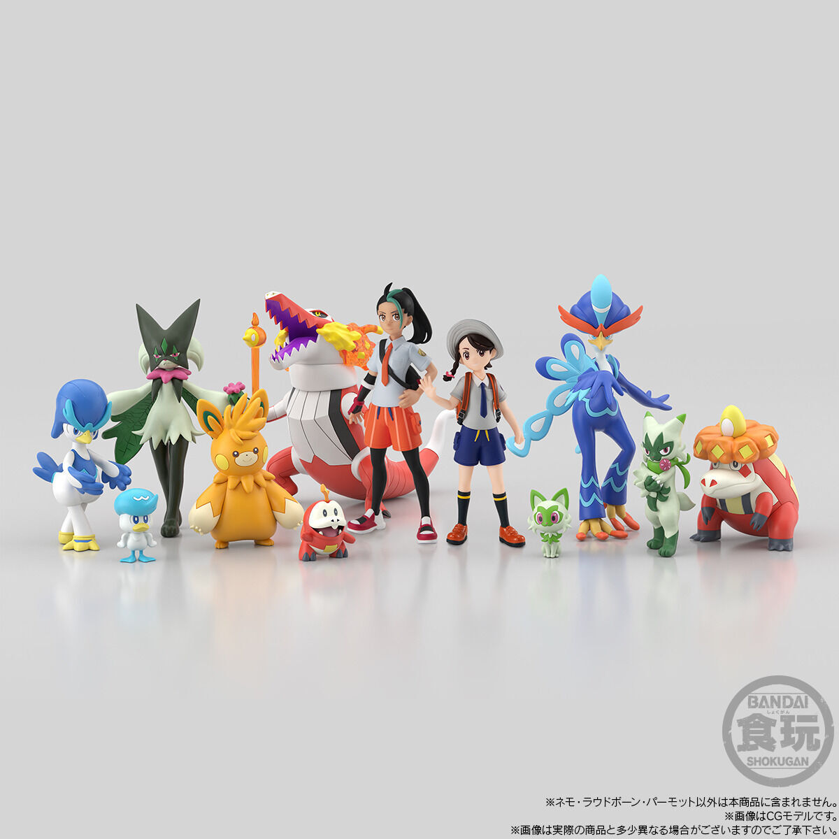 ポケモンスケールワールド パルデア地方 ネモ＆ラウドボーン