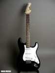 バッカス（Bacchus） BST-250