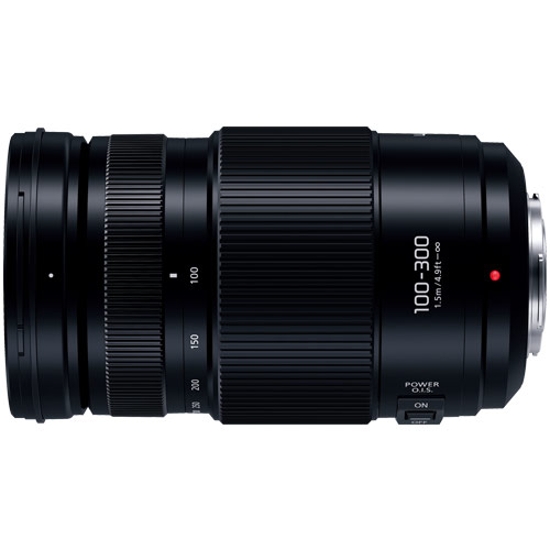 パナソニック(Panasonic) LUMIX G VARIO 100-300mm F4.0-5.6 II POWER