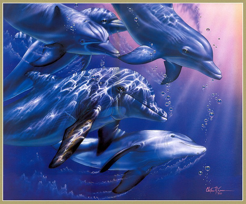p-Christian Lassen Dolphin Quest IIXL — Christian Riese Lassen