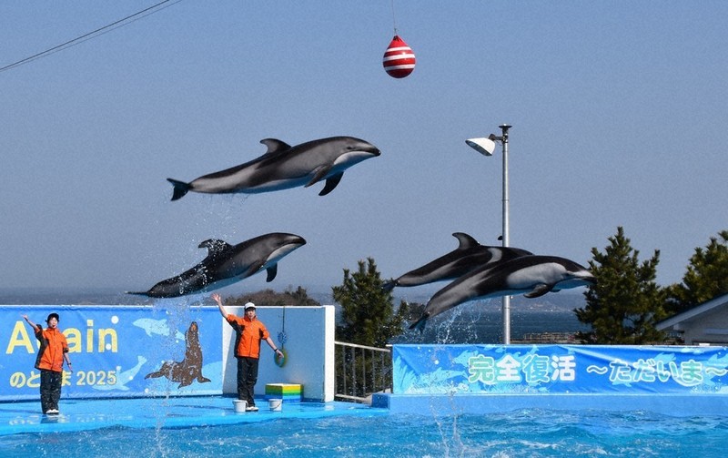 15歳のニュース 地震被災の「のとじま水族館」 完全復活、1年3カ月ぶり