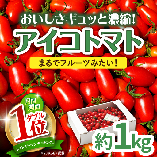 2026年1月〜発送】【完熟ミニトマト】アイコトマト 約1kg [SCB039