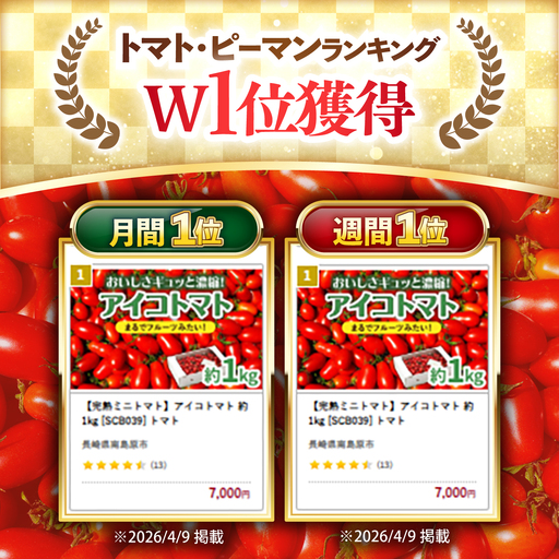 2026年1月〜発送】【完熟ミニトマト】アイコトマト 約1kg [SCB039