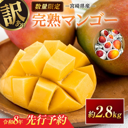 訳あり 宮崎県産 完熟マンゴー 約2.8kg 期間限定 数量限定 フルーツ