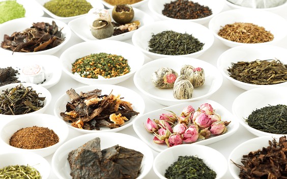大森正司 他(編集) 茶の事典｜Drink LEAF TEA and Protect Nature｜CHAMART