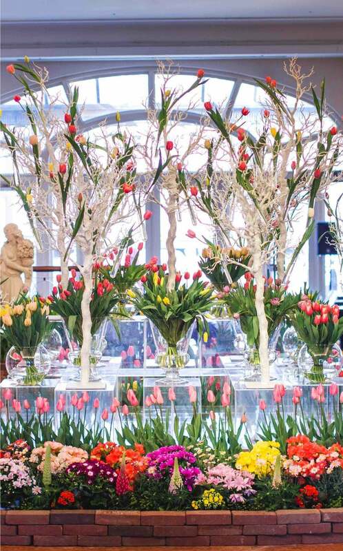 ハウステンボスで日本一早いチューリップ祭 絶景花畑＆イルミも | いこ
