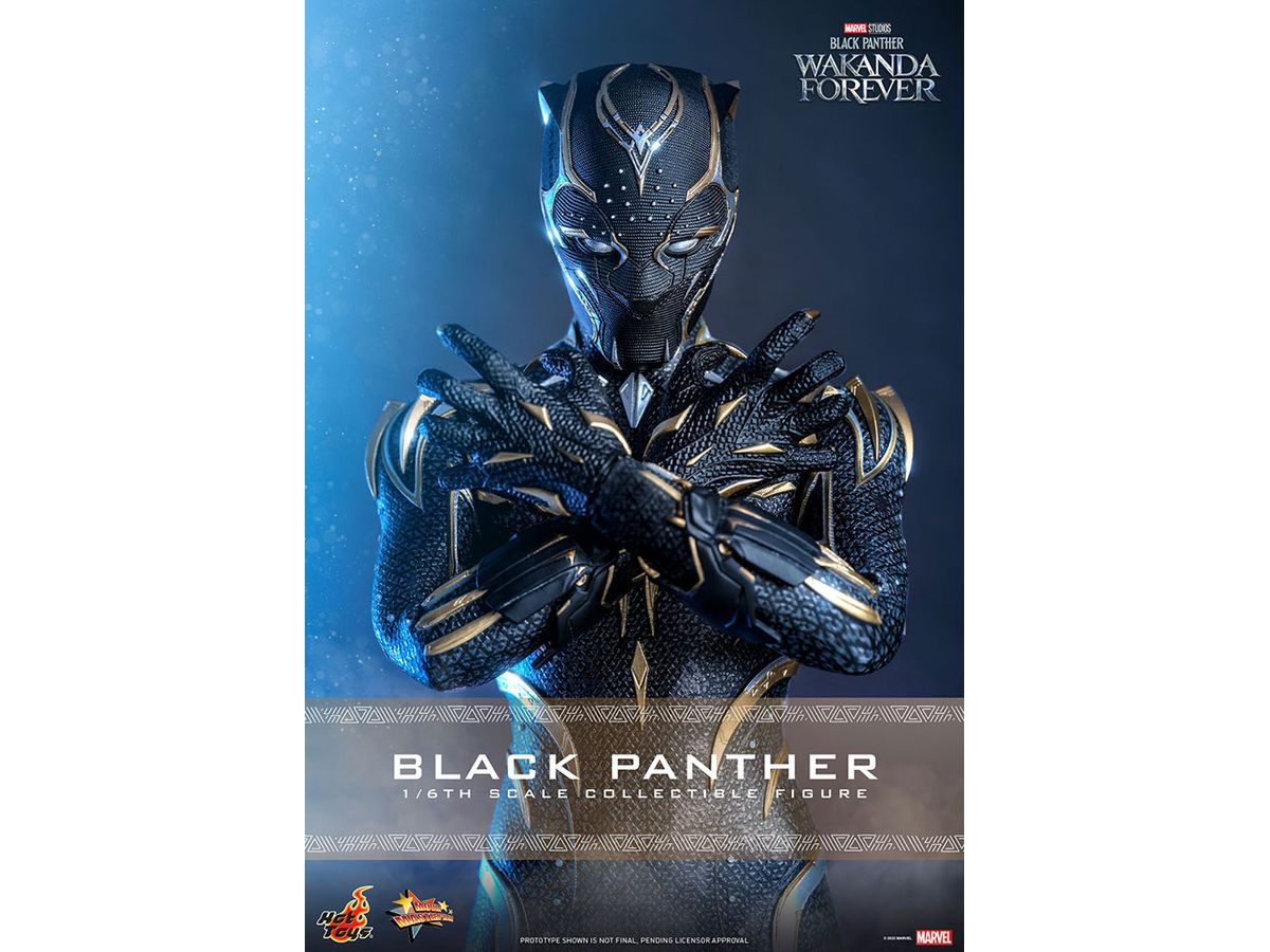 1/6 ムービー・マスターピース ブラックパンサー / ワカンダ