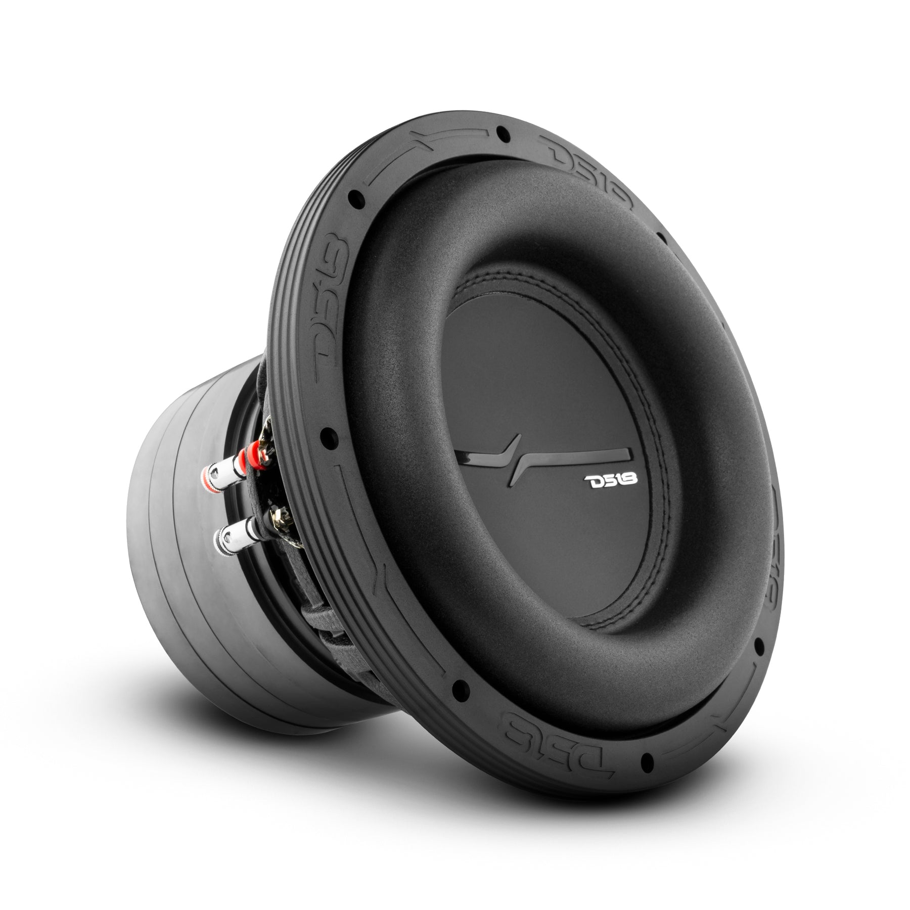 DS18 ZXI10.2D High Excursion 10