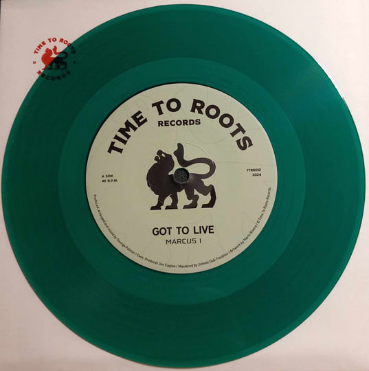 Roots and Ballads にっちょめ 12インチレコード にっちょめ / ROOTS