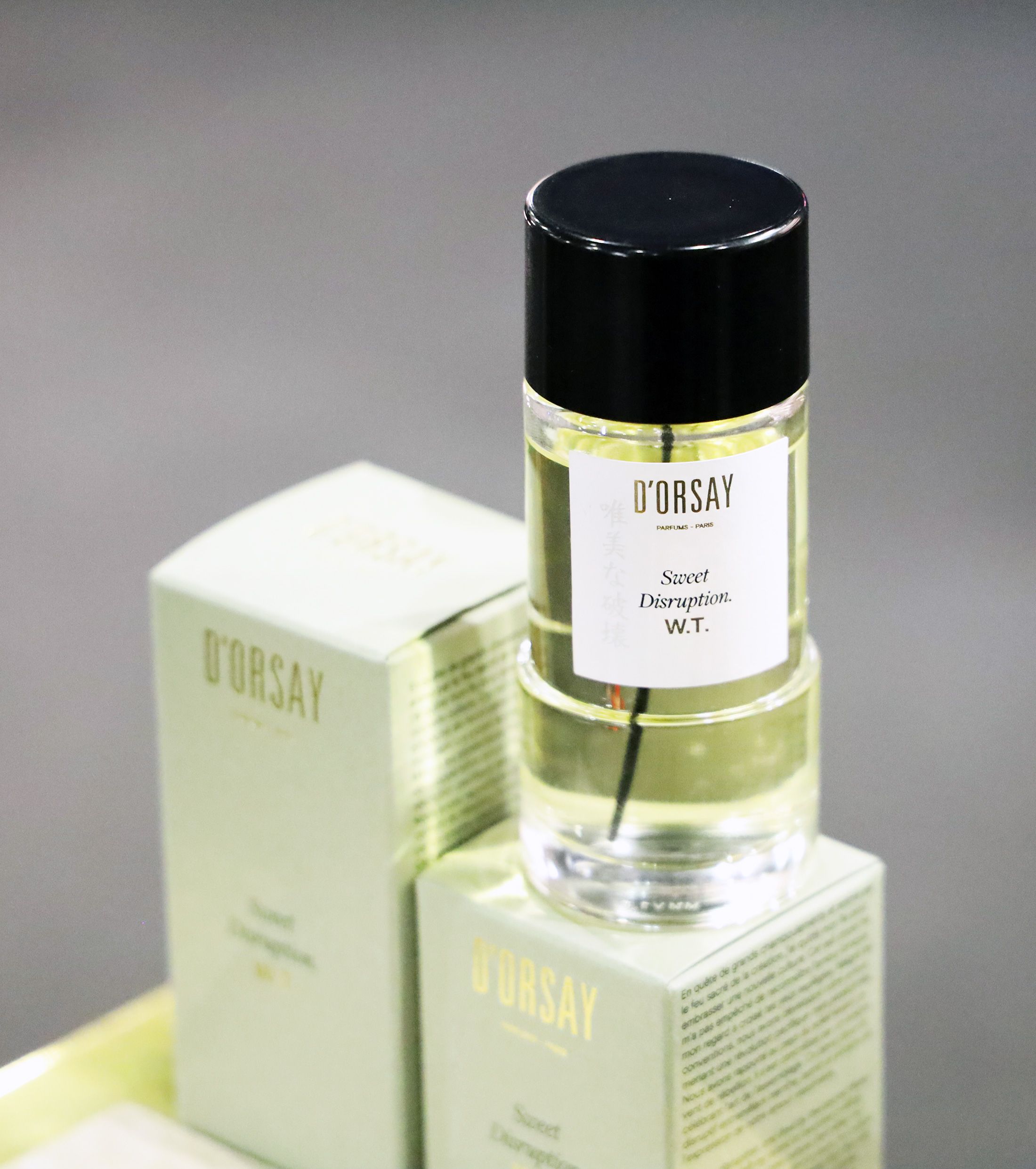 Sweet Disruption W.T. D'ORSAY: In Search Of Quiet Beauty