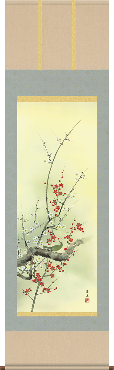 掛け軸-紅白梅に鶯／根本孝逸（尺五・桐箱・風鎮付き・緞子）花鳥画