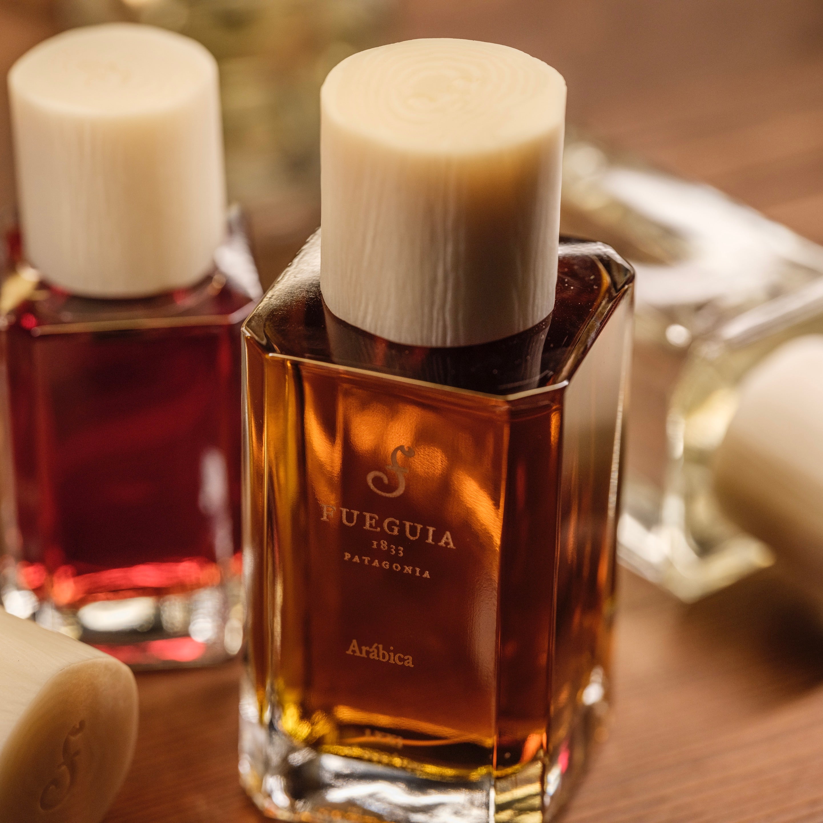 FUEGUIA 1833 | La Joven Noche｜ラ ホベン ノーチェ – FUEGUIA 1833