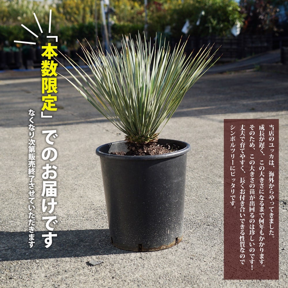 000000069471-03.jpg?size=l&w=