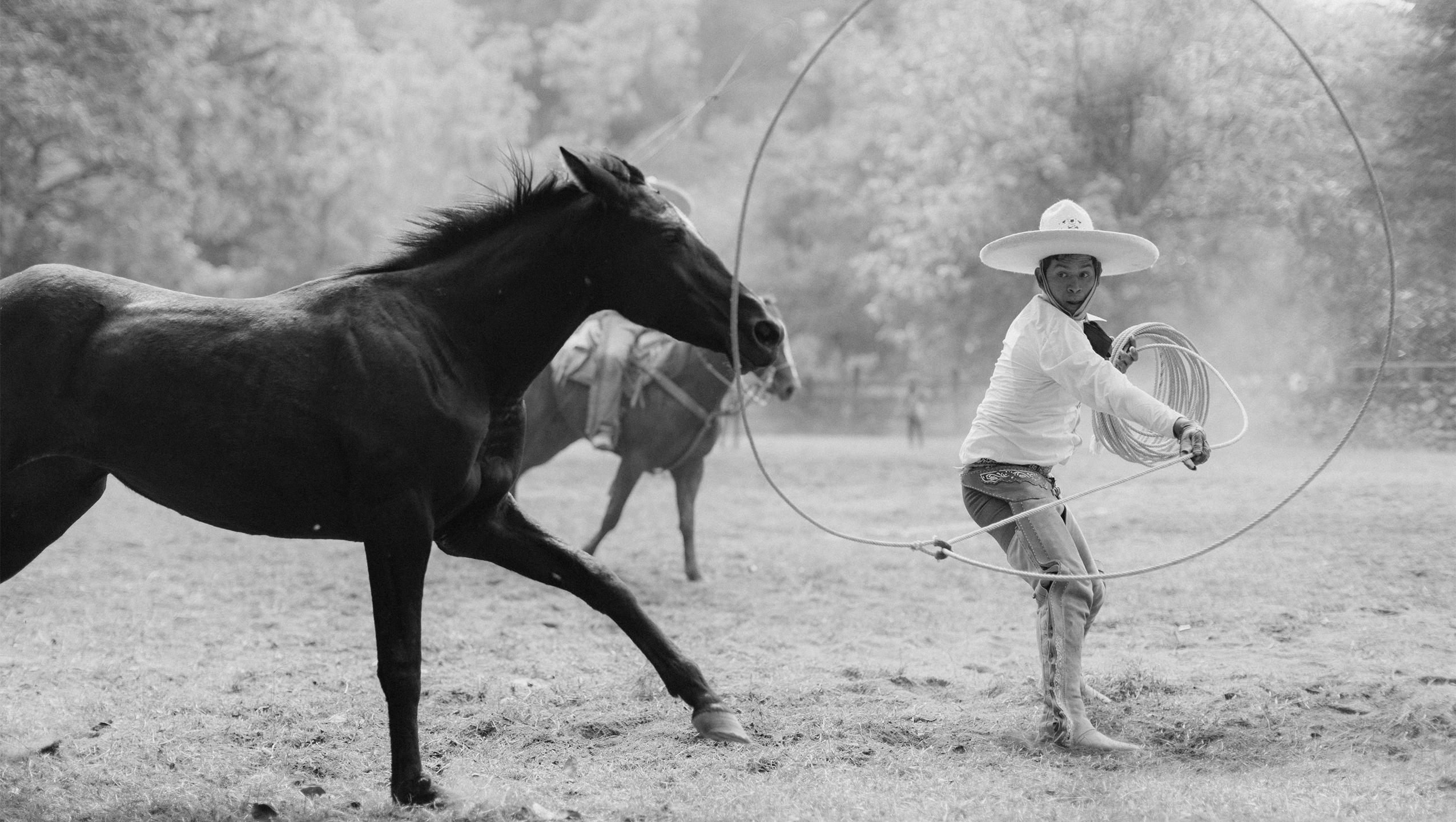 About the Hacienda - Hacienda De San Antonio