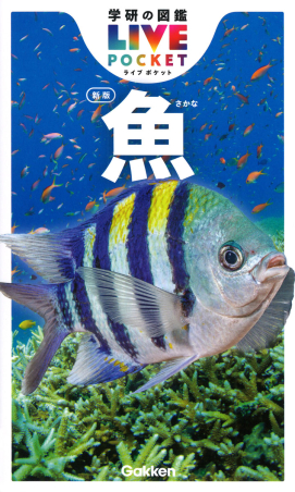 学研の図鑑LIVE（ライブ）ポケット『魚 新版』 ｜ 学研出版サイト