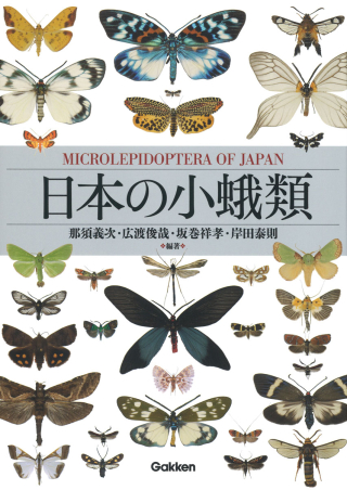 日本の蛾 岸田奈則 Gakken 学研 図鑑 日本の蛾|岸田泰則(著)|ショップ