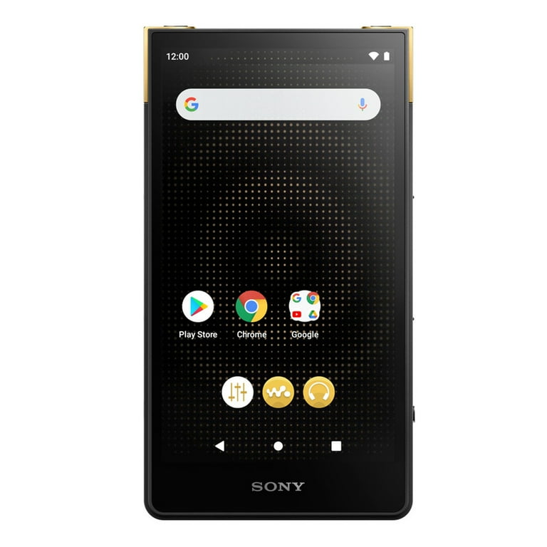 Sony Walkman ZX Series NW-ZX707 Hi-Res Portable Digital Music