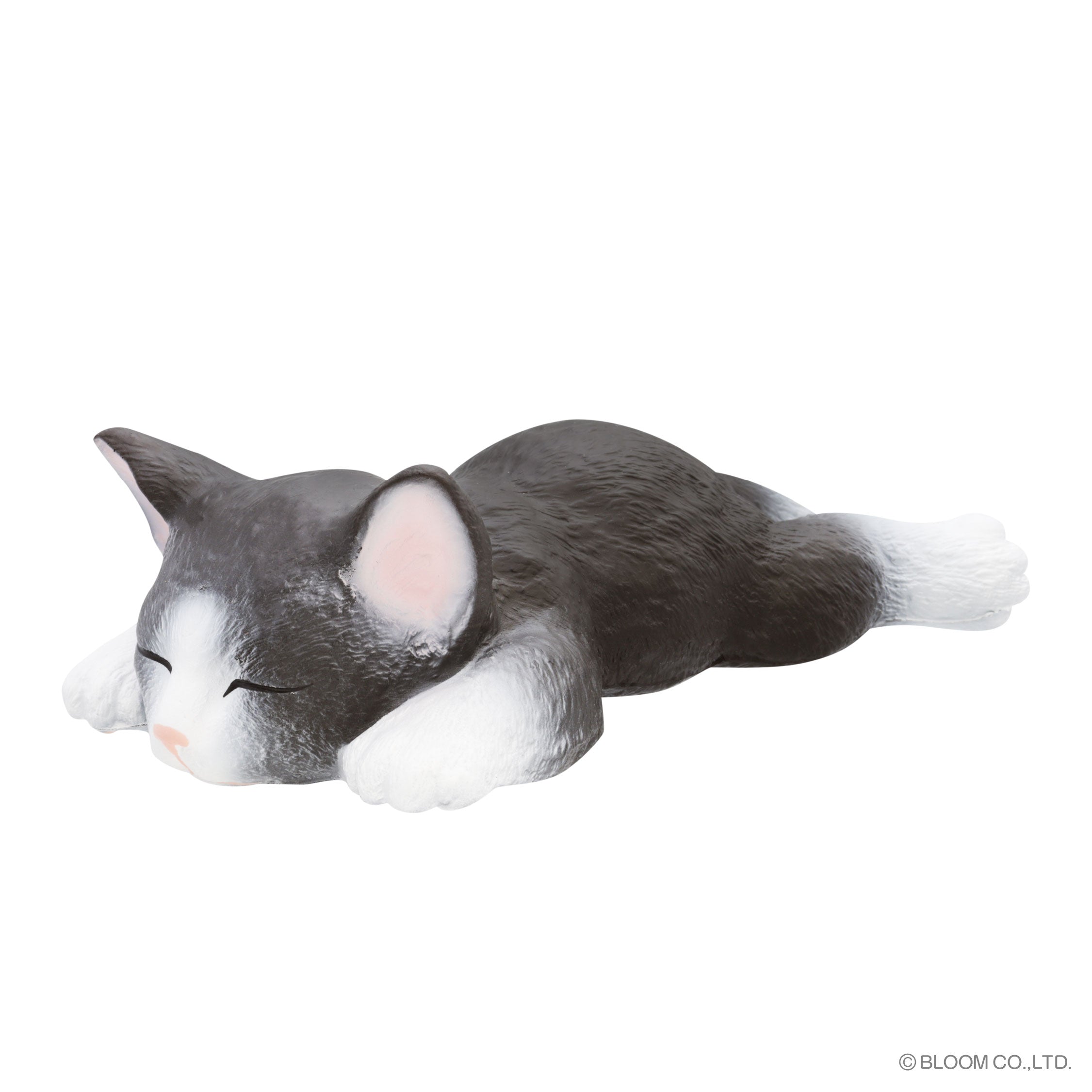 ウィーアーザキャット のびネコ – i-BLOOM SQUISHY OFFICIAL SHOP