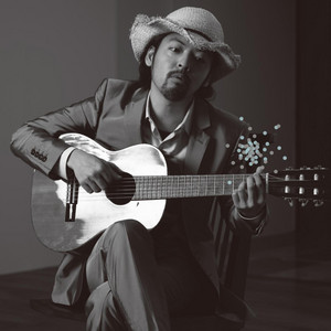 Thank You for the Music - song and lyrics by bonobos | Spotify