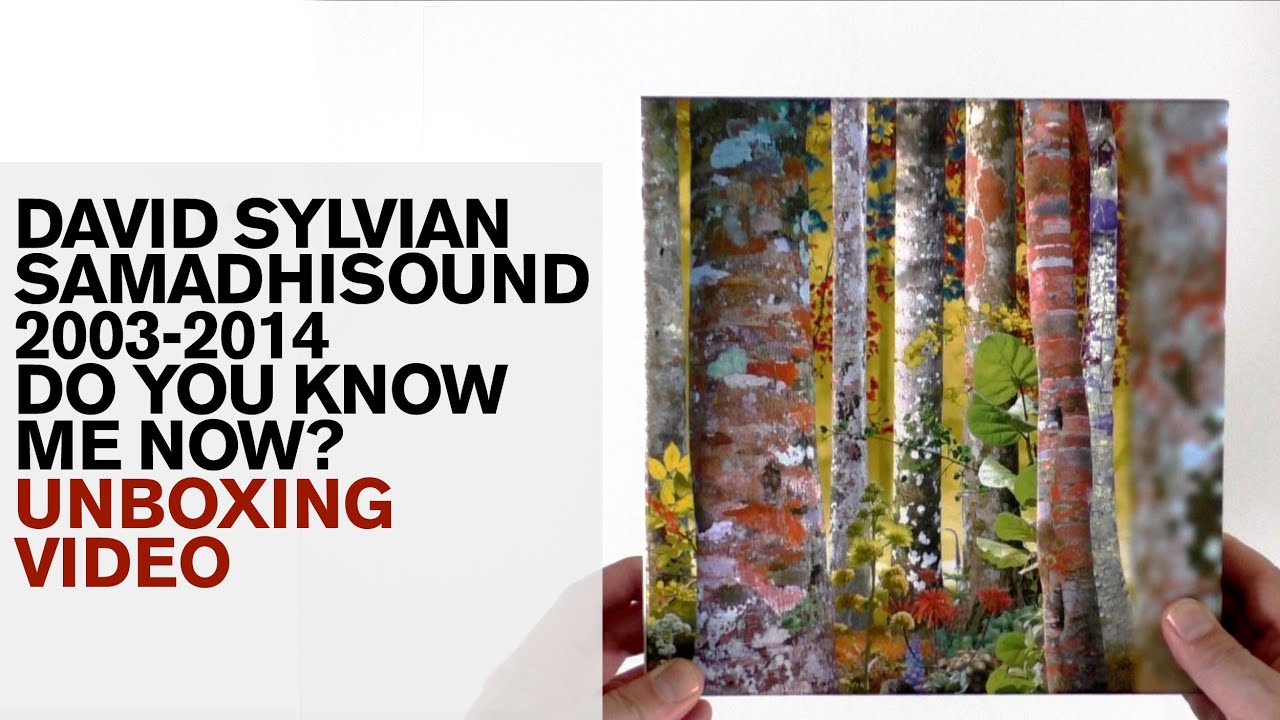 David Sylvian / Samadhi sound 2003-2014 - Do You Know Me Now? 10CD