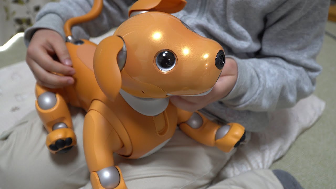 AIBOがウチにやって来た【キャラメルエディション】アイボのモミジ