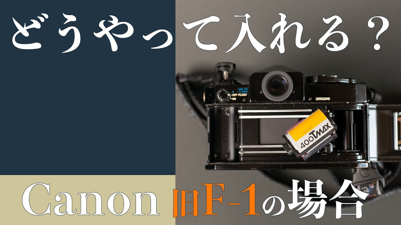 For Beginners] 