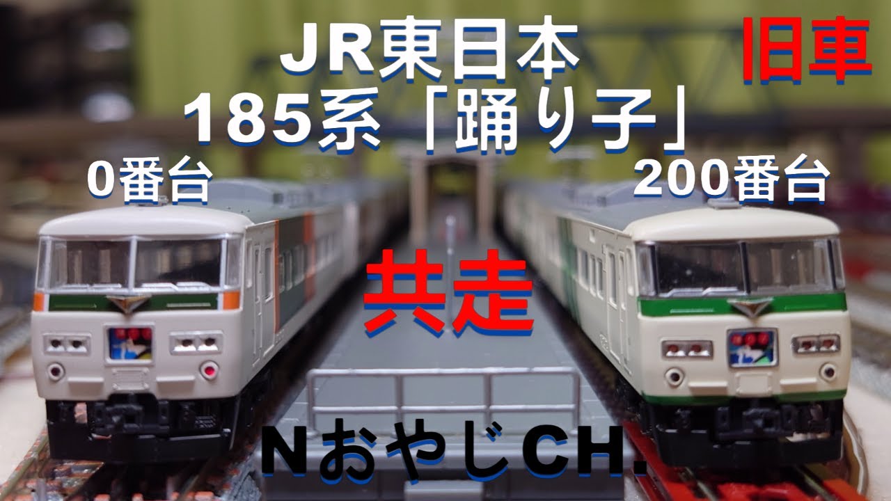 共走 旧車 JR東日本 185系「踊り子」 0番台8両〈KATO 10-219〉 200