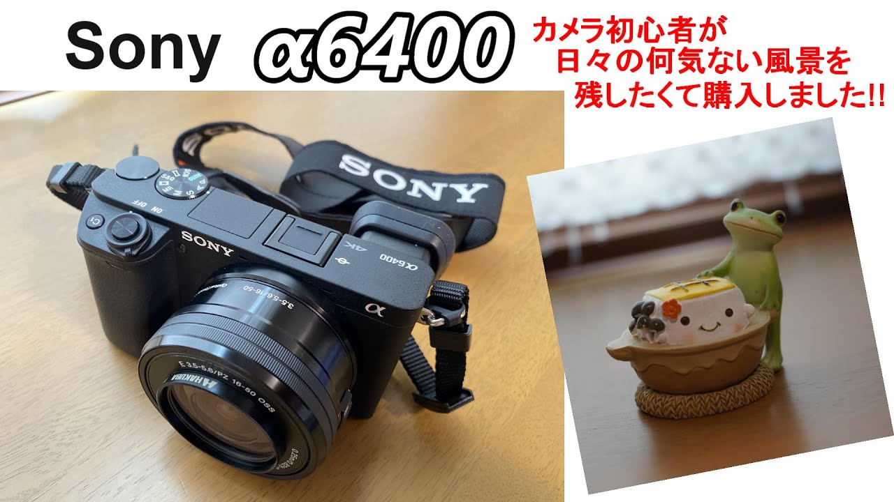 SONY ミラーレス α6400 ダブルズームキット 購入（作例有り） - YouTube