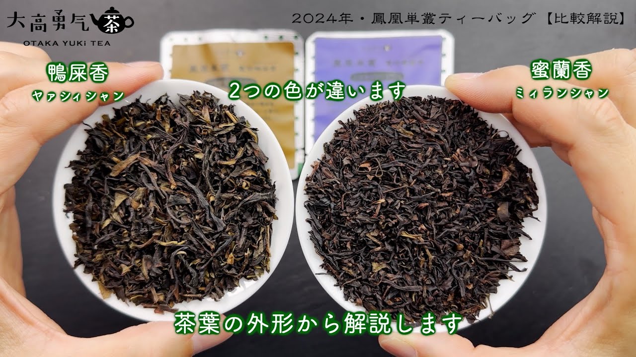 2024新商品】鳳凰単叢（蜜蘭香＆鴨屎香）Teabag比較解説【中国茶・中国